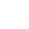 Play icon